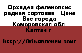 Орхидея фаленопсис редкая сортовая › Цена ­ 800 - Все города  »    . Кемеровская обл.,Калтан г.